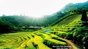 Ban Lien Pine Homestay Lao Cai