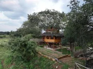 Wonderland By Jade - Treehouse Villa - Krishnagiri