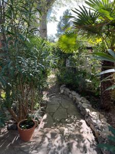 Maisonnette de charme dans domaine naturiste au pied du Mont Ventoux !