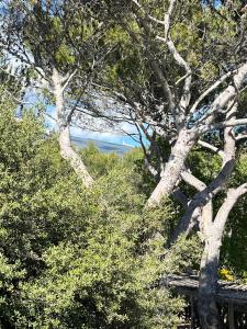 Maisonnette de charme dans domaine naturiste au pied du Mont Ventoux !