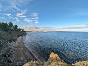 Appartements Cocon d-Argeles - Appartement tout confort, a 2min a pied de la gare : photos des chambres