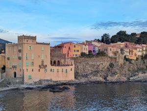 Appartements Cocon d-Argeles - Appartement tout confort, a 2min a pied de la gare : Appartement 1 Chambre