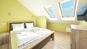 Blue Mare, Sun & Snow