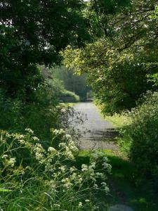 Magazine Wood, Peddars Way, Sedgeford, Hunstanton PE36 5LW, United Kingdom.