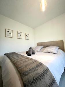 Appartements T2 cosy avec parking - Goupama Stadium LDLC Arena : photos des chambres