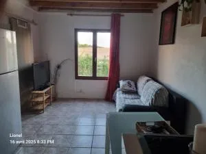 Au cœur de la forêt de Bercé - Pruillé-lʼÉguillé