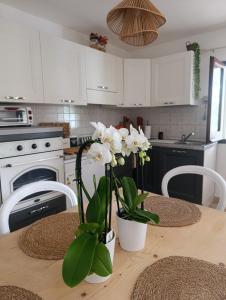 Villa le palme img20