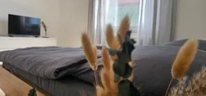 Wald & Wasser - Eitelborn