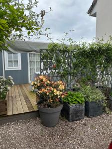 Sejours chez l'habitant Bienvenue chez Eve en bourgogne : photos des chambres