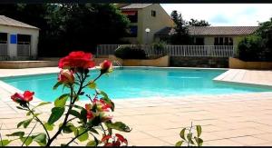 Maisons de vacances Maisonnette au calme : photos des chambres