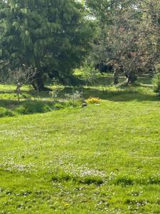 Chambre chez lhabitant