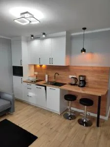 Sunny studio apartment - Skorka