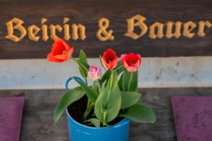 Apartments Feldbauer