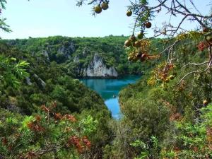 Campings Camping - Piscine - ccbbaah : photos des chambres