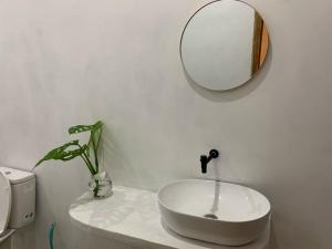 The middle Surf house