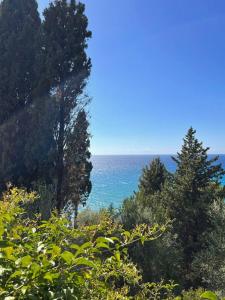 Stefanos Apartments by SV Alians