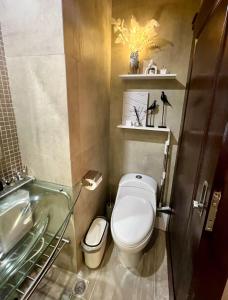 Studio Unit with Netflix