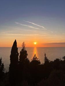 Stefanos Apartments by SV Alians