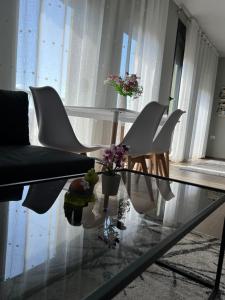 Alma Rose Apartments3