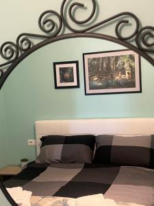 Alma Rose Apartments3