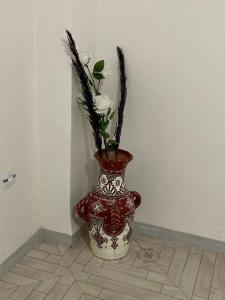 Appartement spacieux et calme