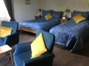 亨达利之家酒店 - Teviothead