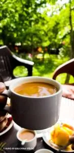 Green leaf Guest house - Gilgit