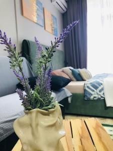 Апартаменты напротив моря в доме бизнес класса Guru residence