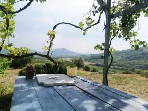 Köveshegy Guesthouse - تابولتسا