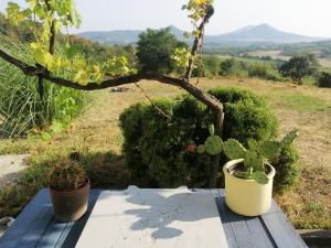 Köveshegy Guesthouse