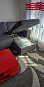 Appartements Appartement cosy et climatise pour 1 a 4 personnes 150m place Gambetta : photos des chambres
