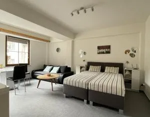 Apartmány U Pošty - 亚希莫夫