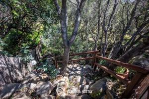 Villa Emilietta img55