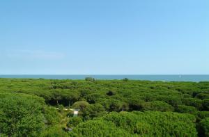 Villaggio California