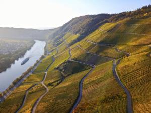 Fewo direkt am Moselufer