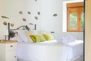 Quinta entre palmeras - Teror