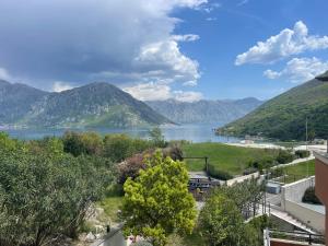 Lavender Bay Apartment B23