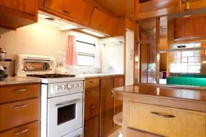 Rustic 1950s Campervan Rental on a Tranquil Farm near Poughkeepsie, Upstate New York - Mountain Dale