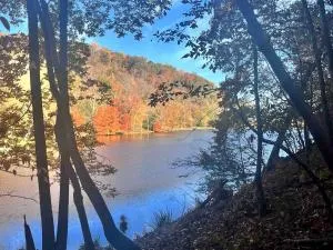 Breathtaking Cabin with Hot-tub in Franklin, Tennessee - Fairview