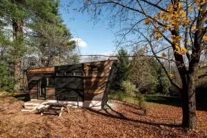 Modern Fantastic Tiny House with Lofted Interior and Picnic Space in NY - Mountain Dale