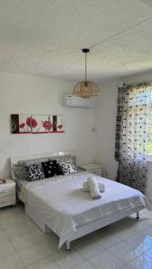 3bedroom house, pool & garden!