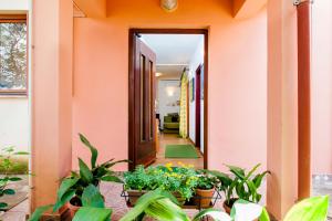 Apartments Aja and Stefy