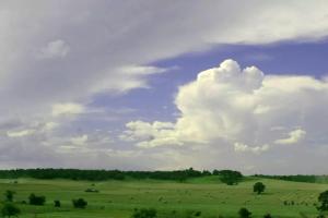 Pet-Friendly Accommodation on a Ranch in McDade, Texas