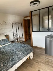 Chambre hôte dans chalet de montagne - 莫里永