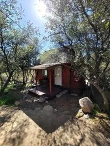 Comfy Eco-Friendly Tiny Home with Gorgeous Views in Wofford Heights, California - 伊莎贝拉湖