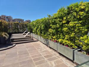 Terrazza Manù - loft suspended over the city-Vomero