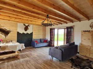 Przyjazna zagroda leśne runo