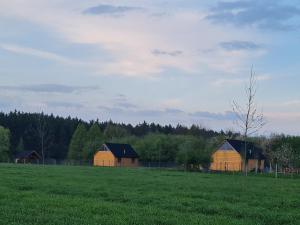 Przyjazna zagroda leśne runo