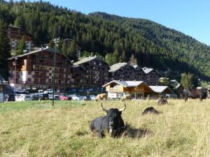 Appartements Studio a la montagne draps non fournis : photos des chambres
