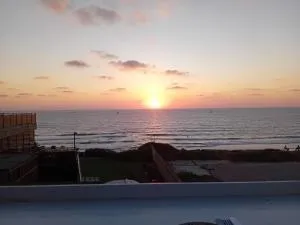 פנינה - Retamim